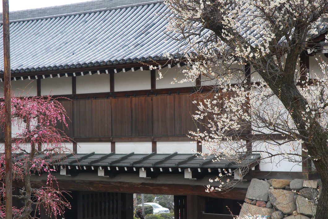 郡山城跡（2月上旬～3月中旬）