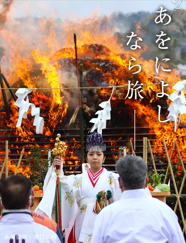 春日の大とんど（春日大社）