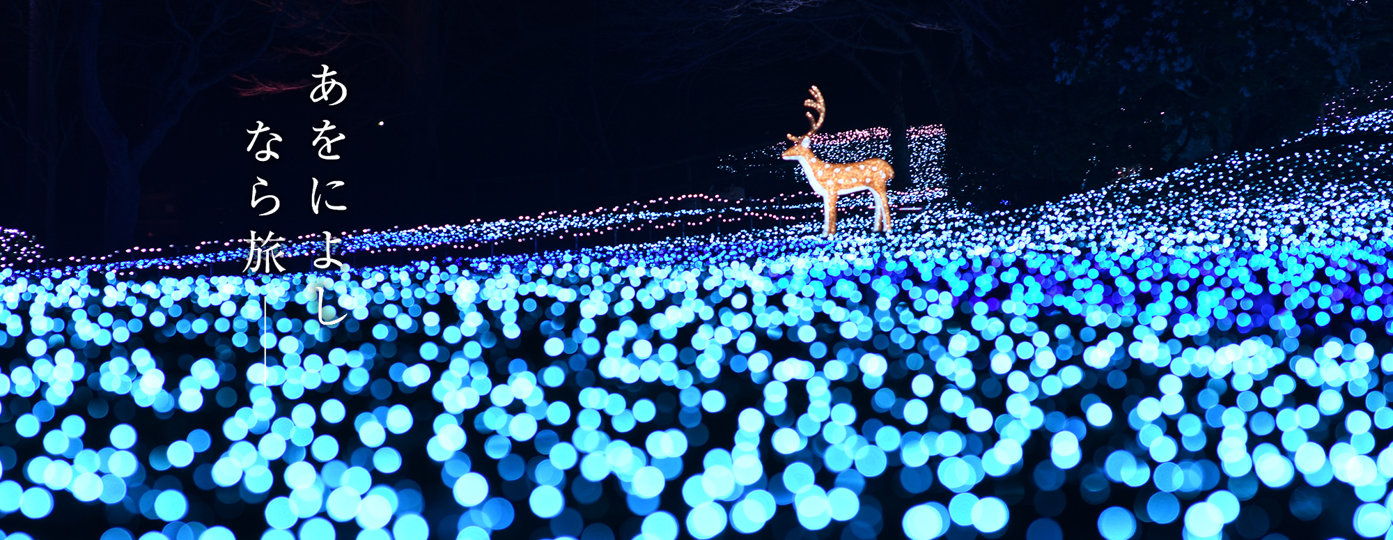 しあわせ回廊 奈良瑠璃絵