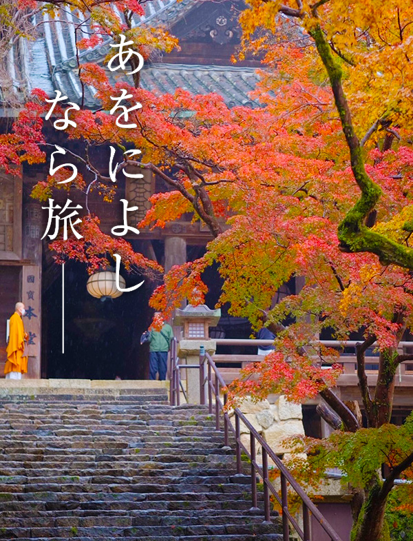 もみじ回廊 （長谷寺）