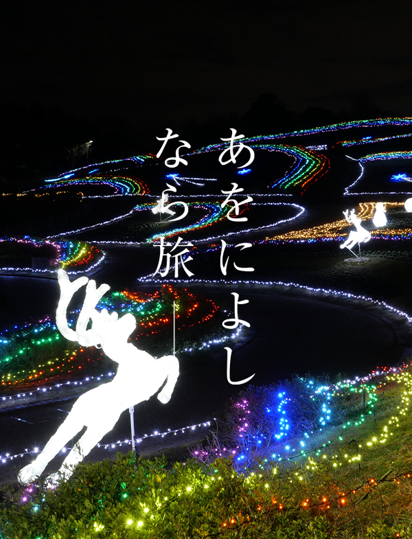 きらめきマルシェ in 馬見クリスマス (奈良県営 馬見丘陵公園)