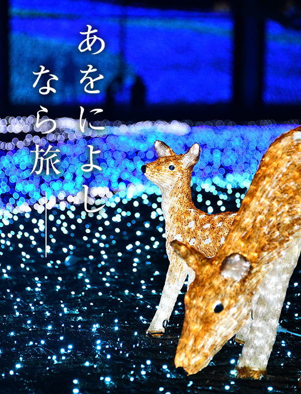 しあわせ回廊 奈良瑠璃絵