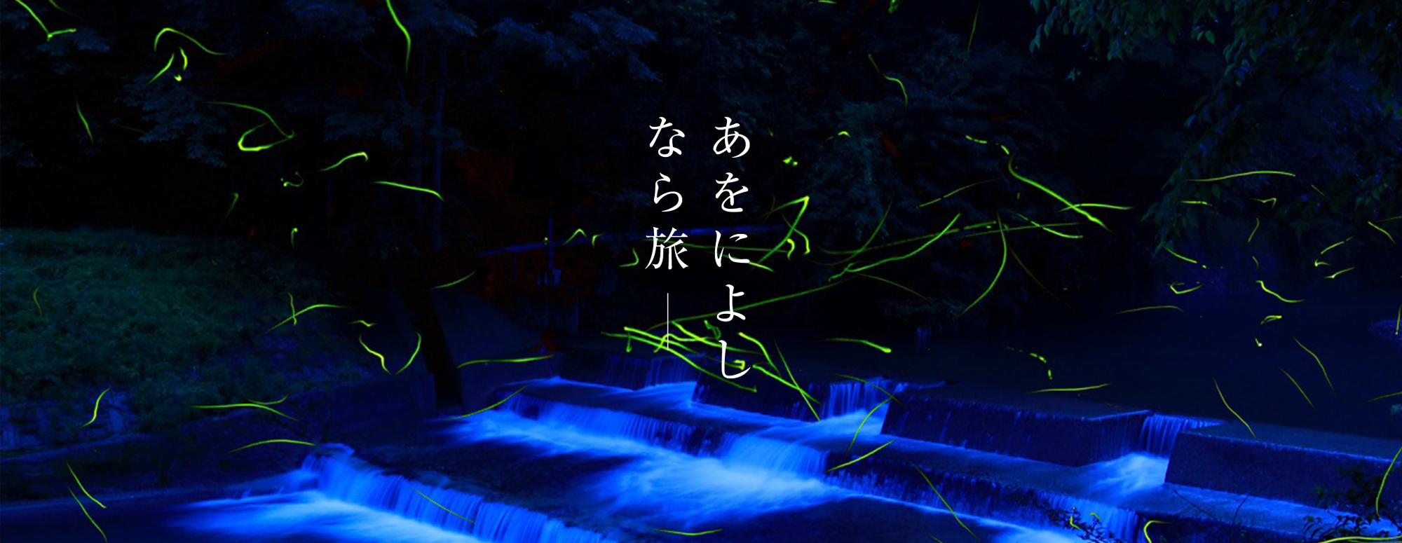 御杖村のホタル