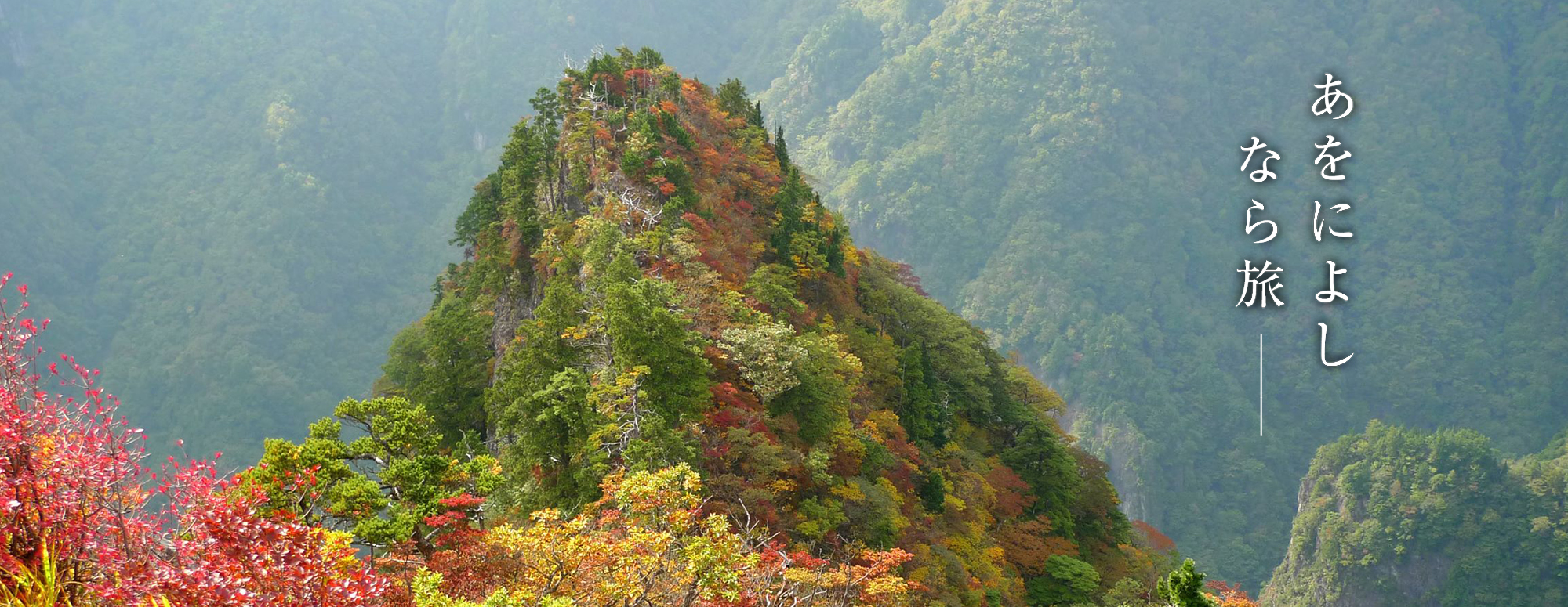 紅葉（大台ヶ原）