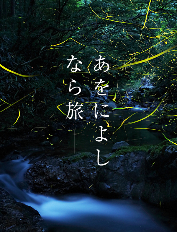 御杖村のホタル