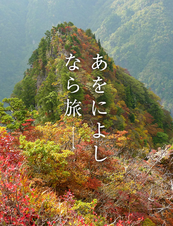 紅葉（大台ヶ原）