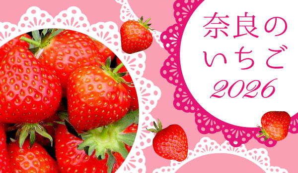 奈良のいちごを楽しむ