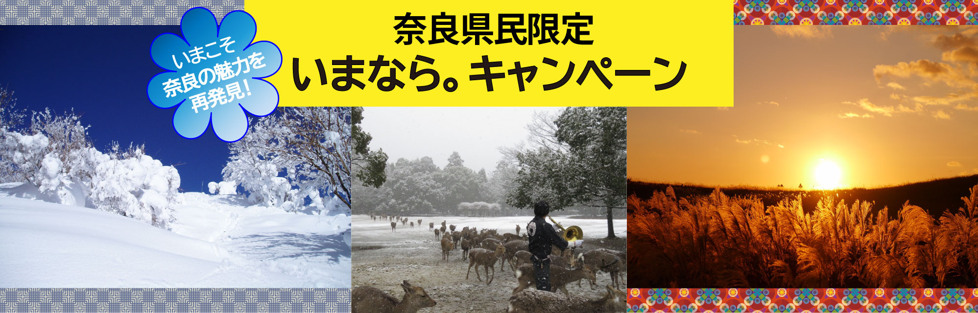 奈良県観光 公式サイト あをによし なら旅ネット