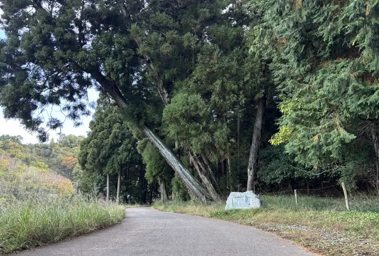 大和青垣国定公園