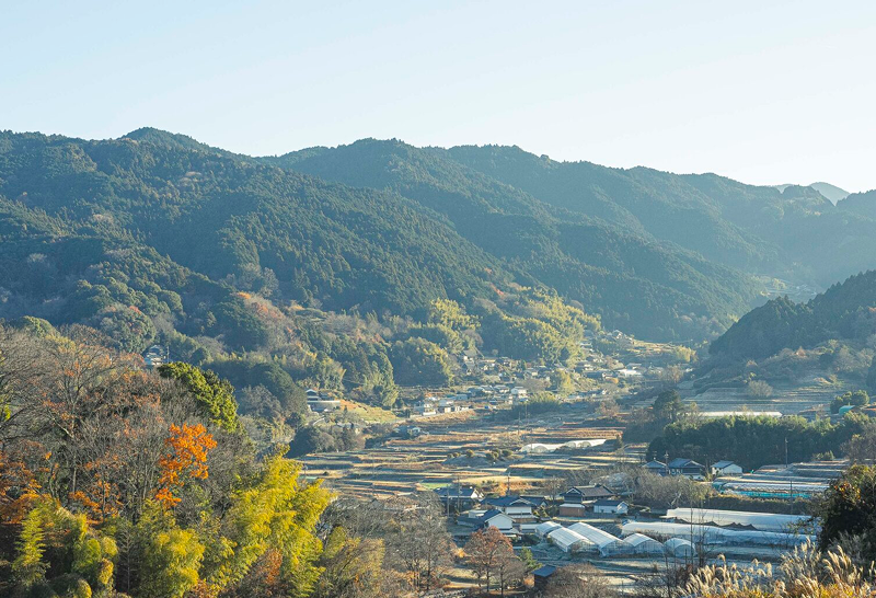 Journey through Asuka-Fujiwara