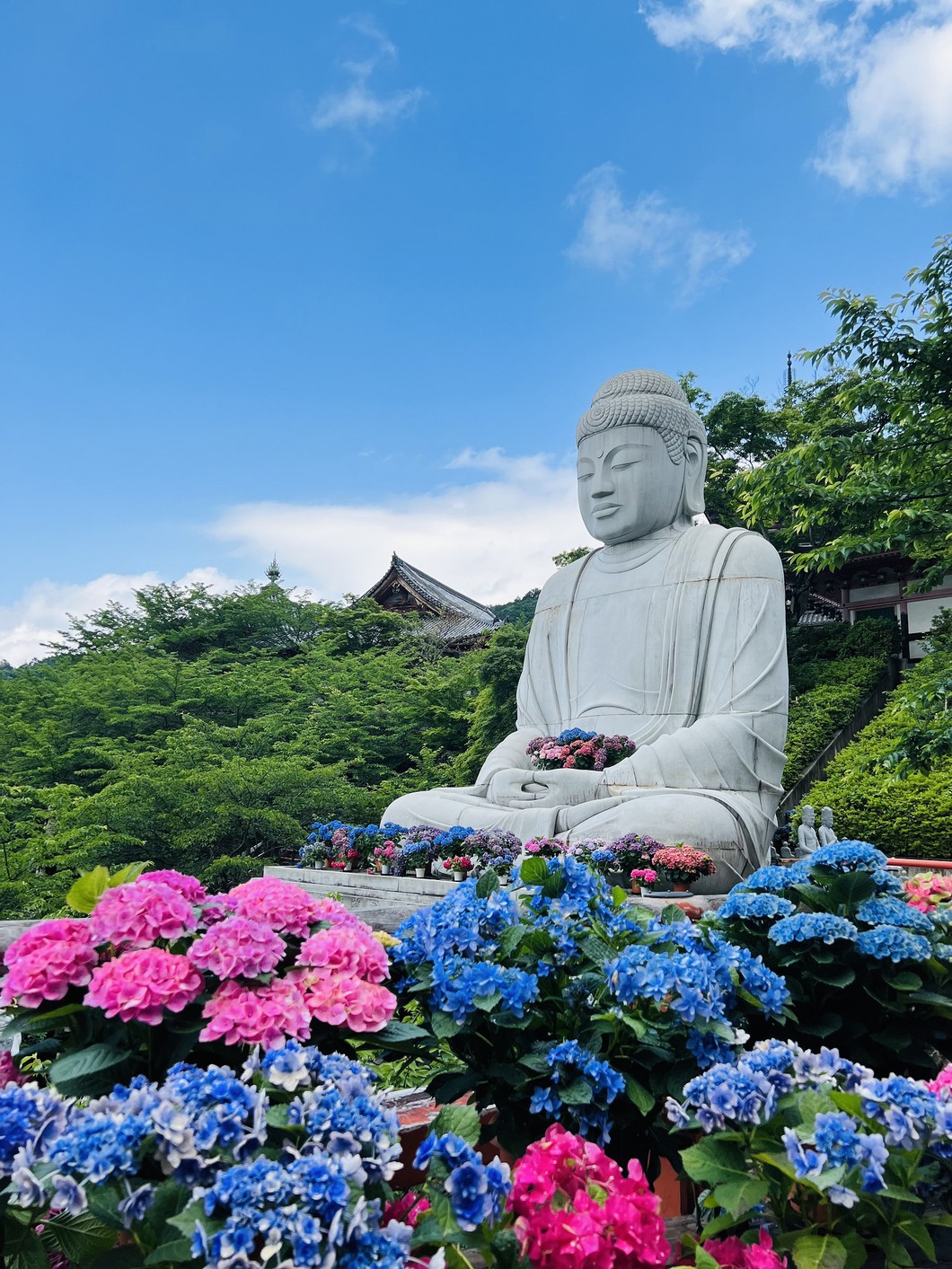 写真：2023年撮影