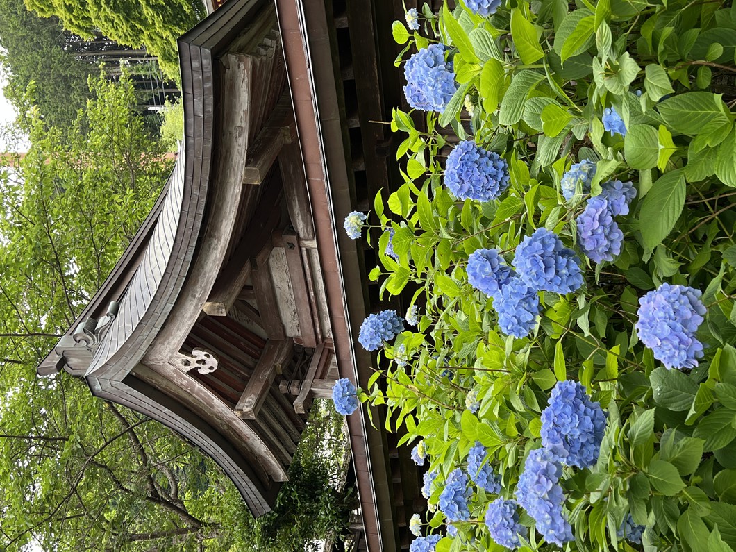 写真：2023年撮影