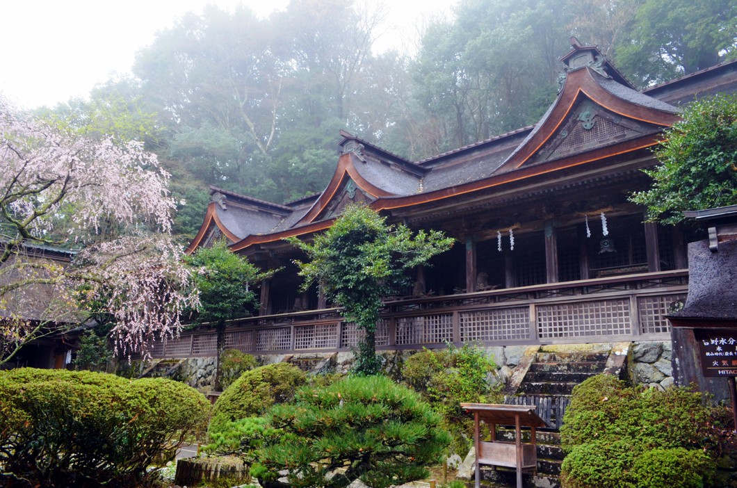吉野水分神社のシダレ桜