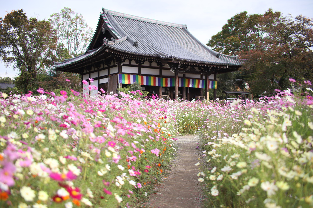 般若寺