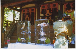 献氷祭