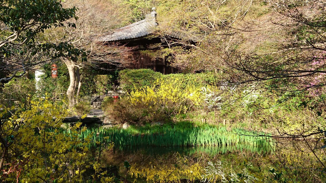 多宝塔特別開扉