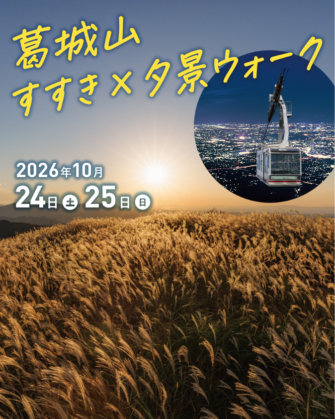 葛城山 すすき × 夕景ウォーク