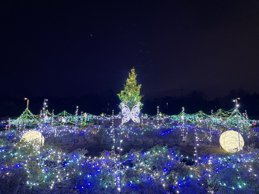 きらめきマルシェ in 馬見クリスマス