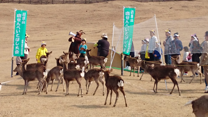 雨天中止 鹿せんべいとばし 春休み大会 若草山 奈良県観光 公式サイト あをによし なら旅ネット 奈良市 奈良エリア イベント