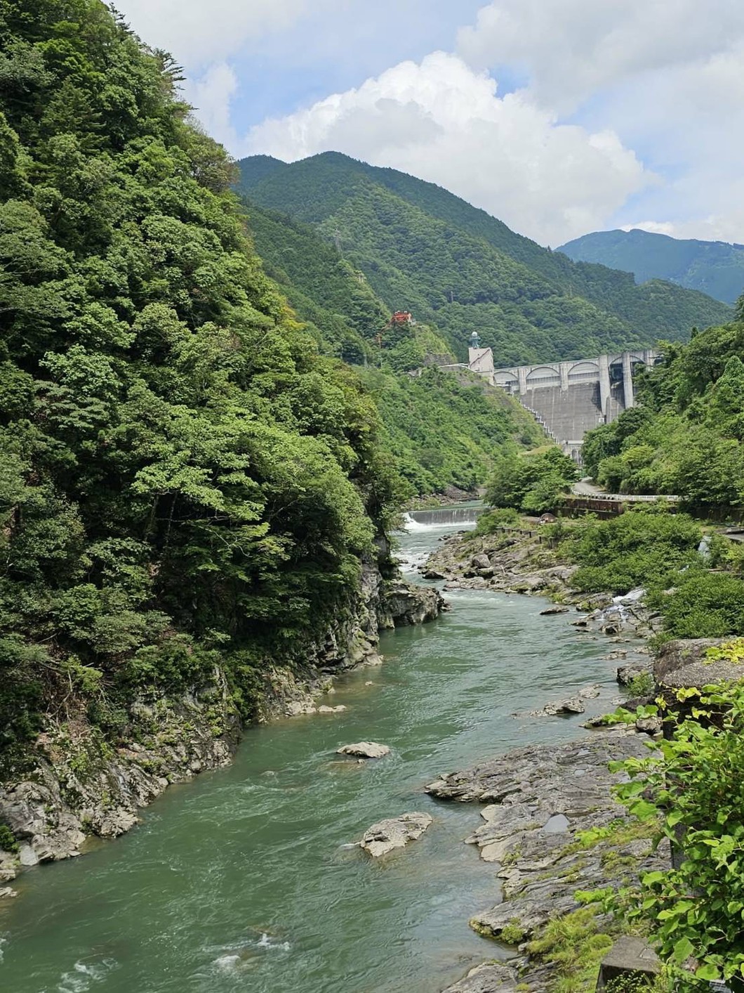 【奈良ファン倶楽部 特別企画】もうひとつの流域