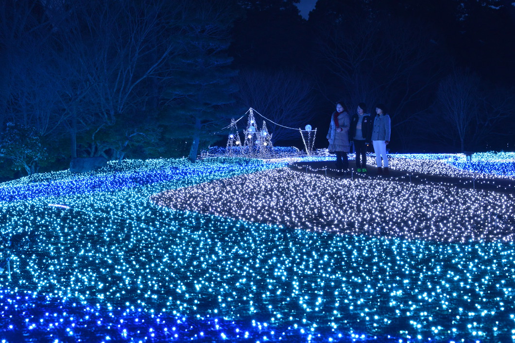 しあわせ回廊 なら瑠璃絵 奈良公園 奈良県観光 公式サイト あをによし なら旅ネット 奈良市 奈良エリア イベント