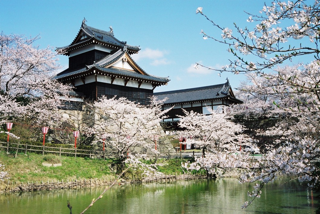 第65回大和郡山お城まつり