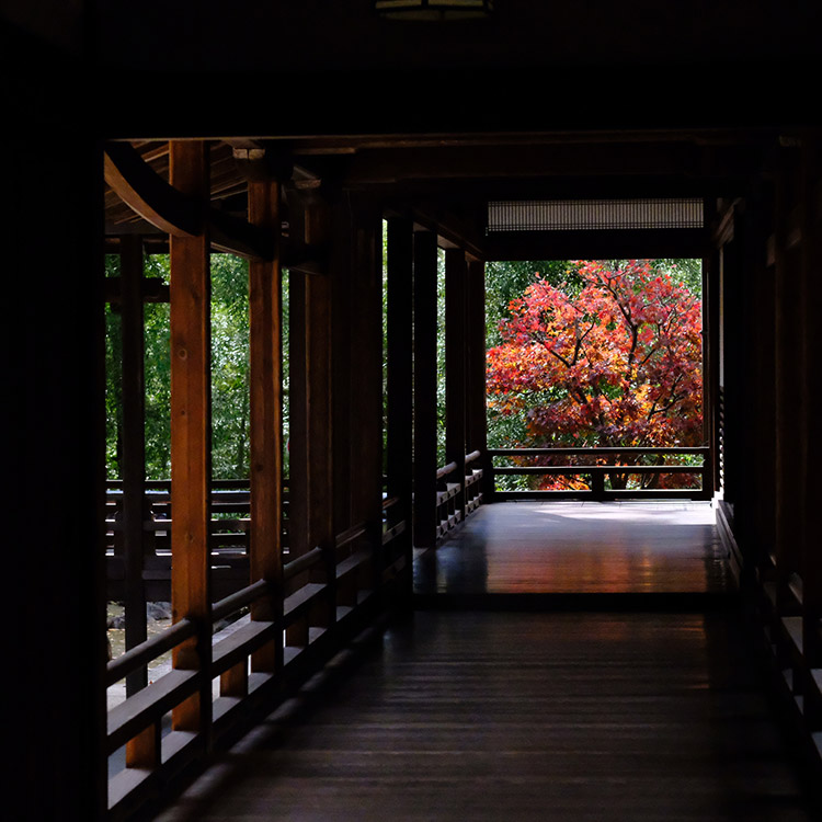 〇紅葉シーズンの長谷寺をインスタ僧侶と巡る〇