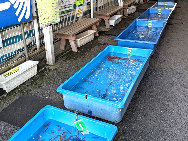 教育旅行　生駒・信貴・ 斑鳩・葛城エリア