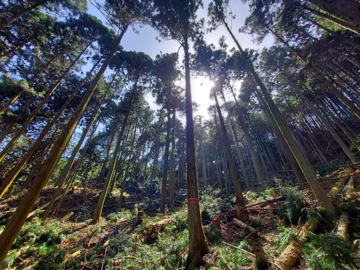 教育旅行　山の辺・飛鳥・ 橿原・宇陀エリア