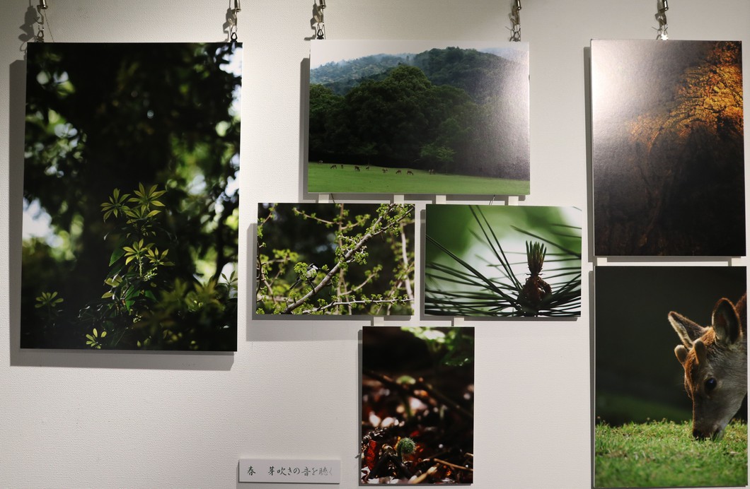 河村牧子写真展「歌で紡ぐ　彩りの四季」（蔵展示）