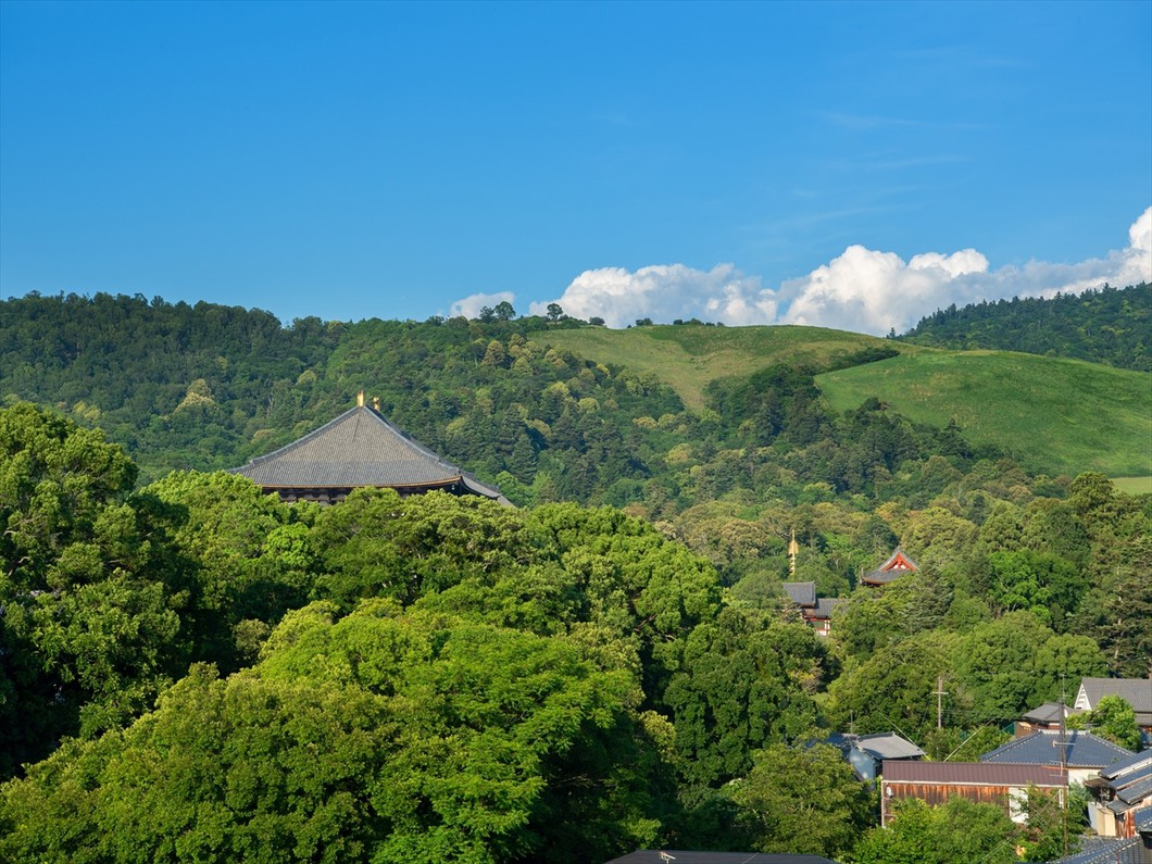 当館から見える東大寺・若草山