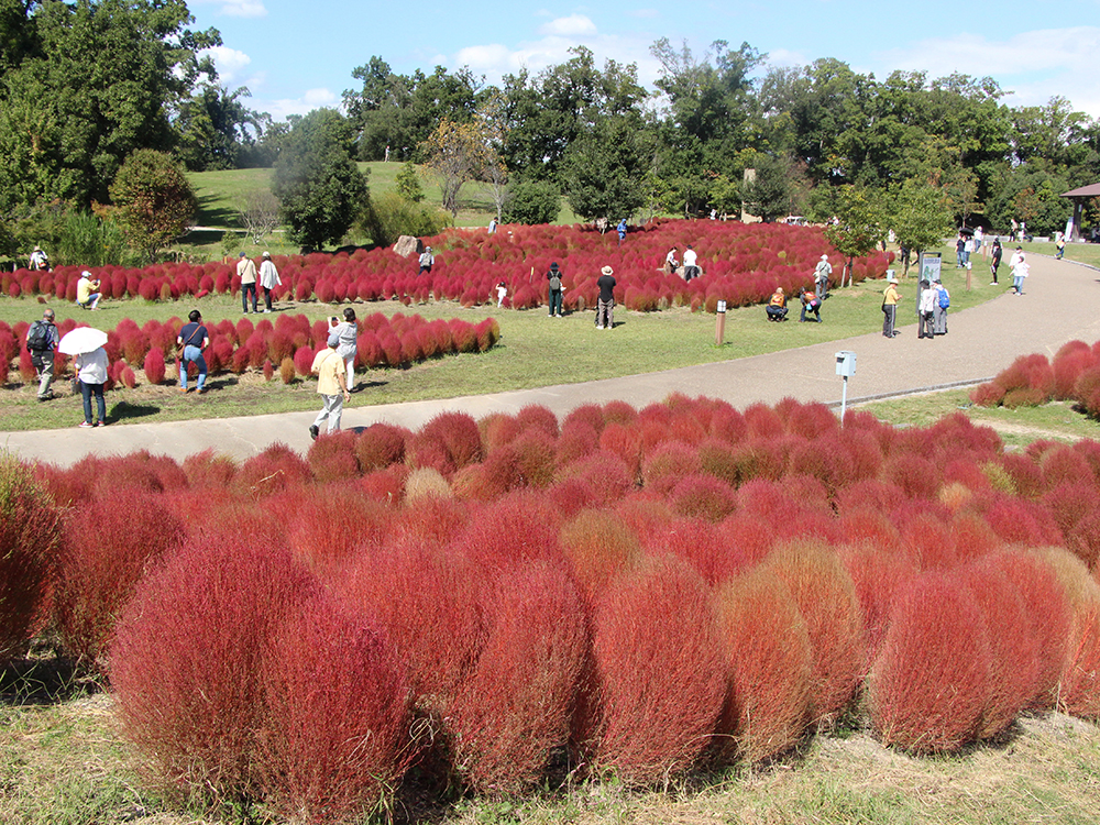 馬見丘陵公園