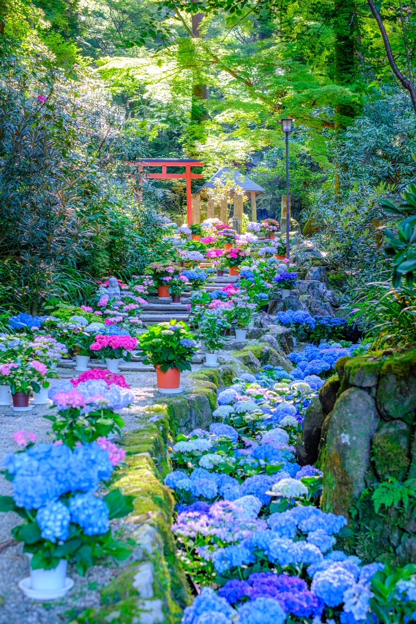 岡寺（2024年撮影）
