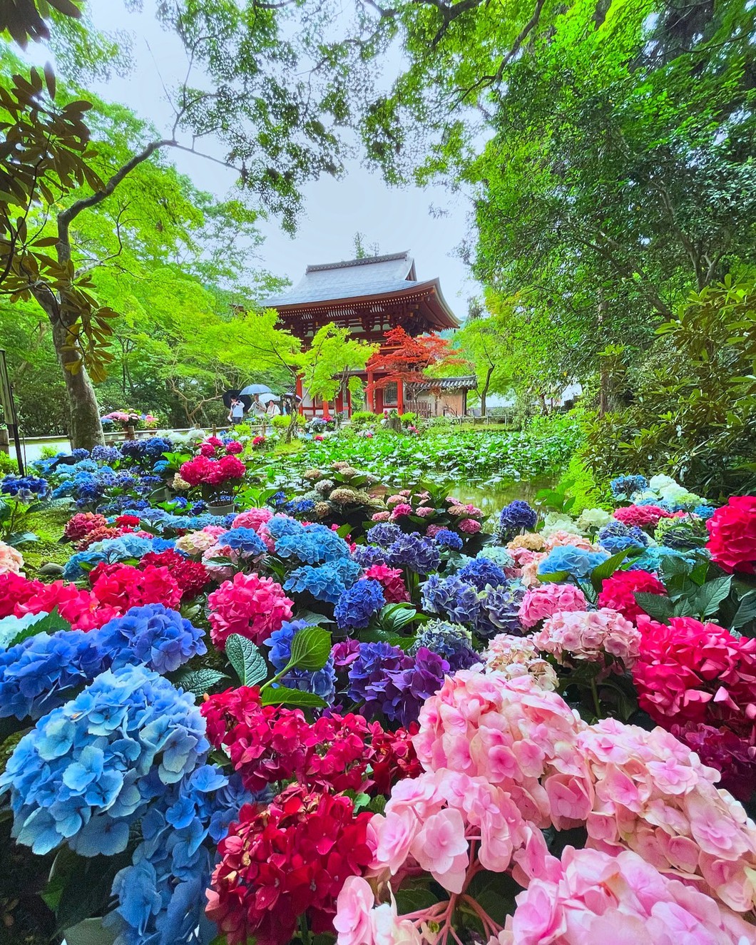 室生寺（2024年撮影）