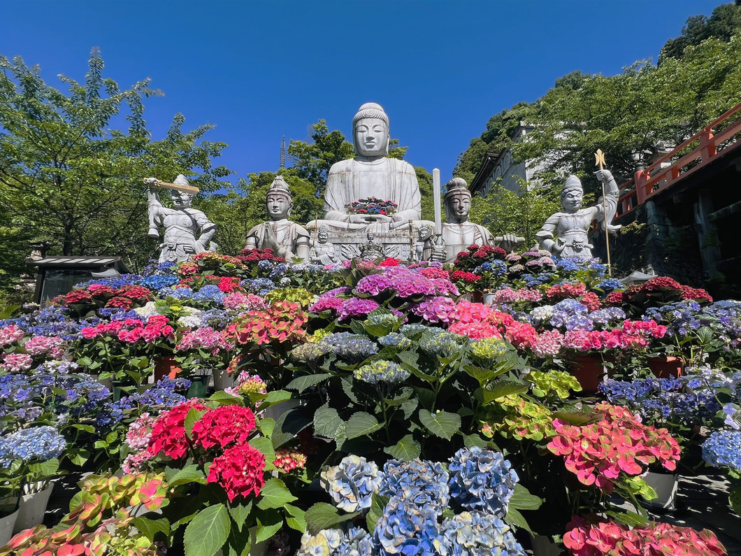 壷阪寺（2024年撮影）