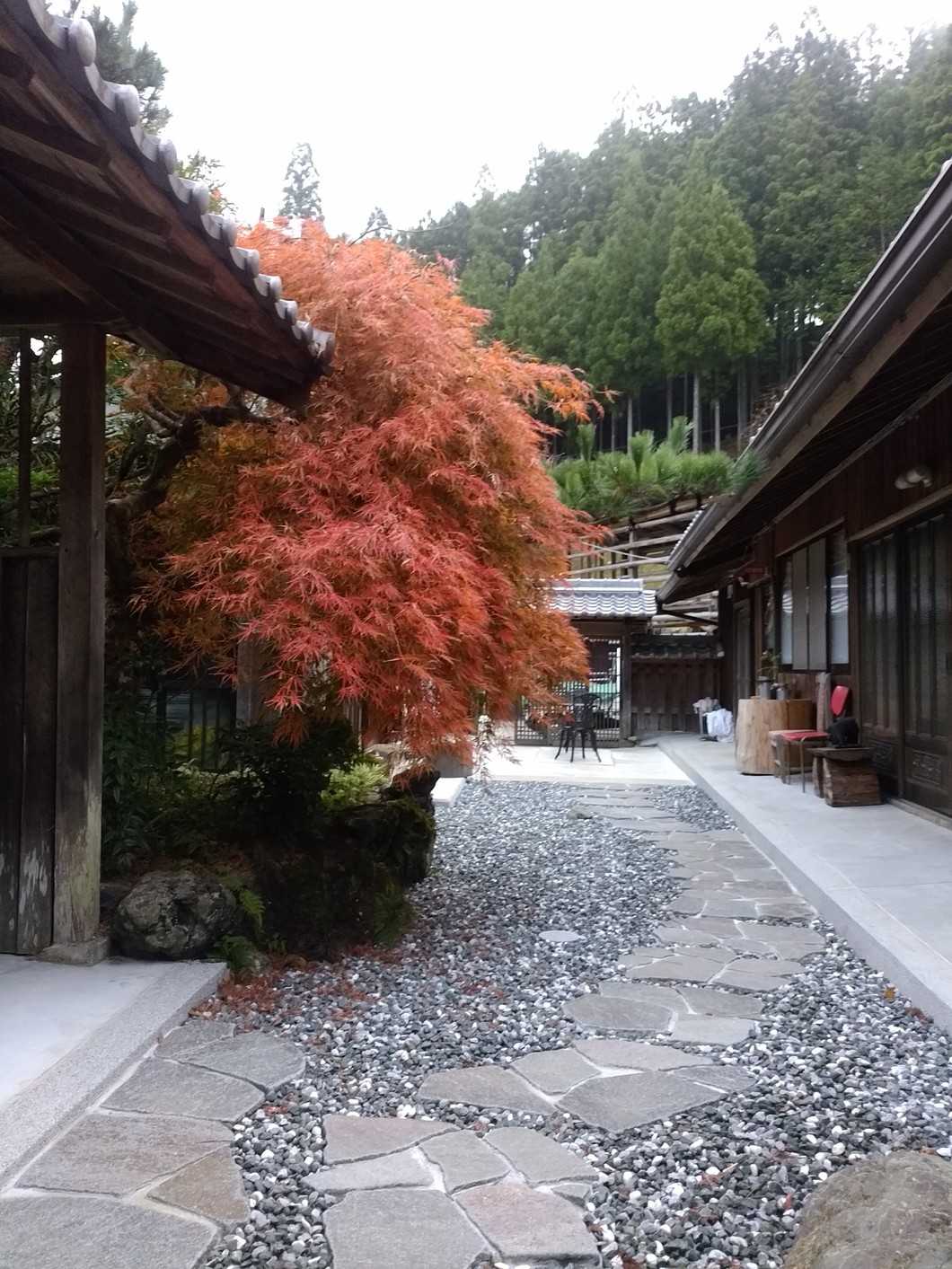 農家民宿 十津川 信ちゃん						