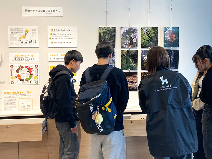 教育旅行　奈良エリア