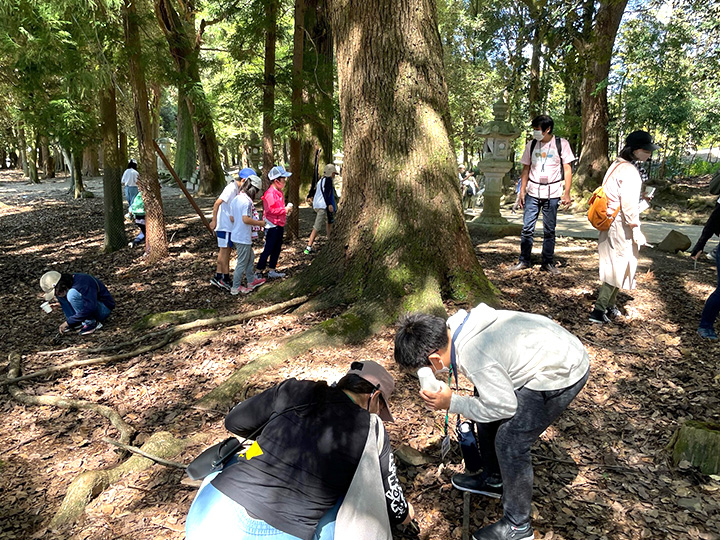 教育旅行　奈良エリア
