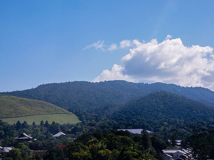 教育旅行　奈良エリア