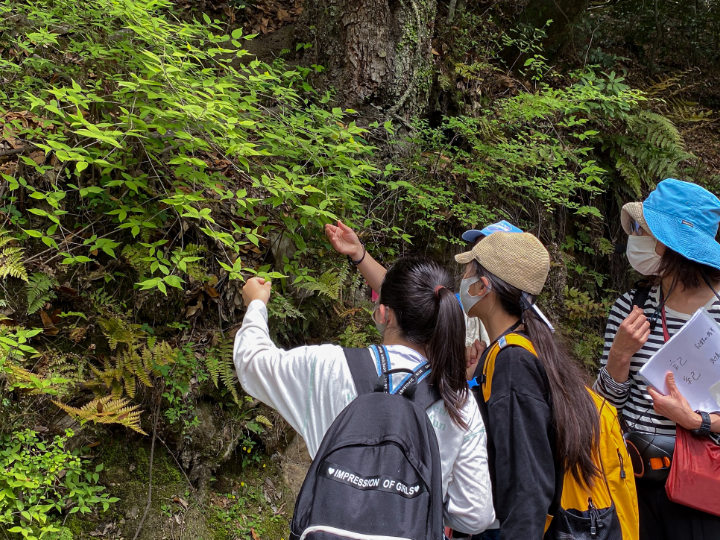 体験を通じた学びの機会を提供します