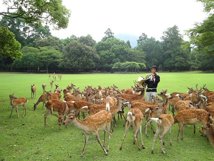 教育旅行　奈良エリア