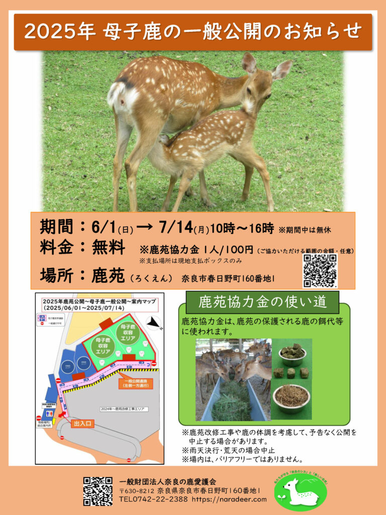 母子鹿の一般公開