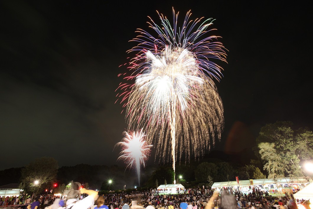 明日香の夜空2024 ～あすか花火大会～