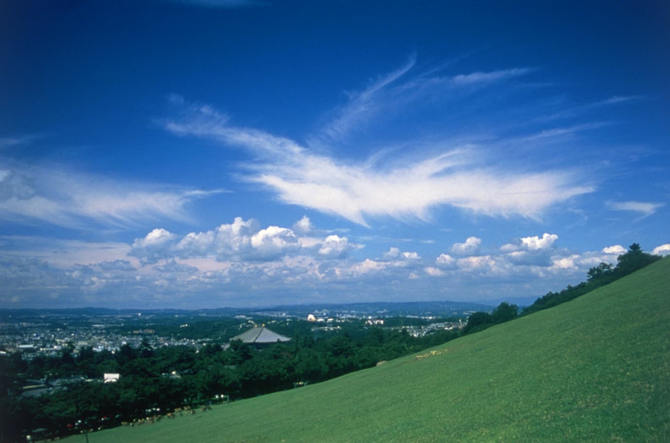 若草山から奈良市街（若草山）