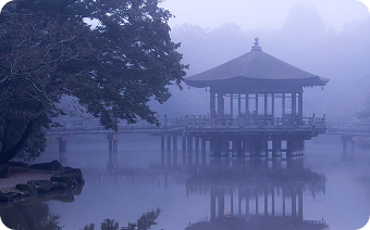 奈良公園の風景