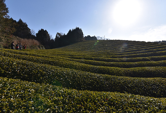 奈良の茶がゆ