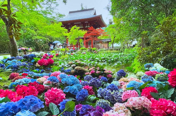 室生寺