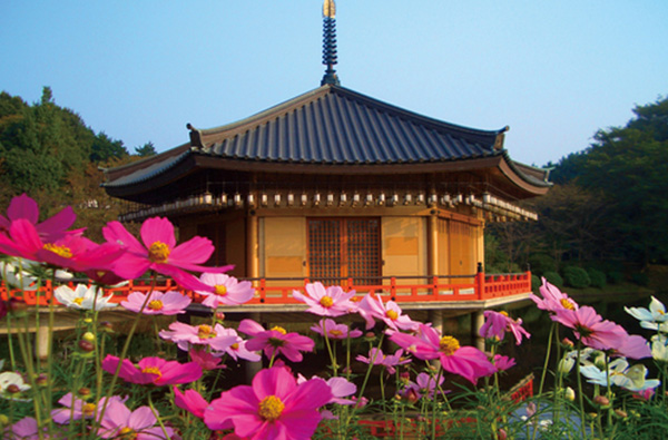 安倍文殊院(コスモス)