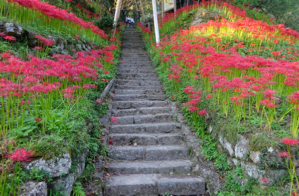 佛隆寺(仏隆寺)
