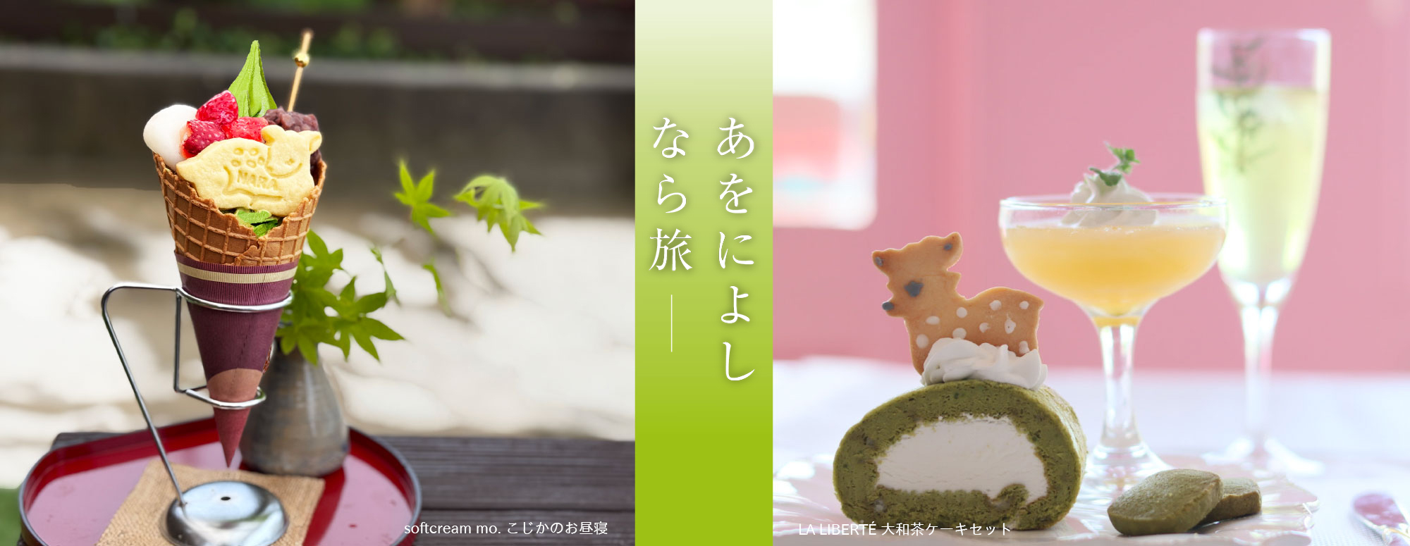 ちゃちゃちゃ大和茶 2025